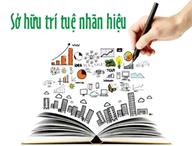 Bảo Hộ Độc Quyền Thương Hiệu "Yến Hoàng Phi"